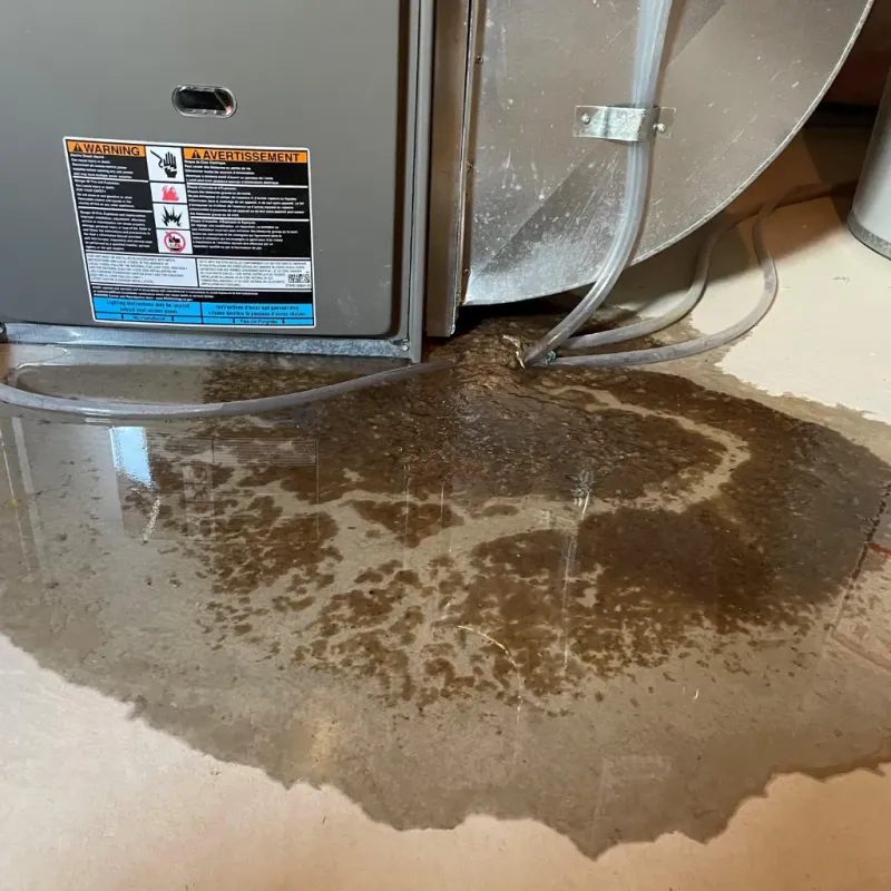 Appliance Leak Cleanup in Ewa Gentry, HI