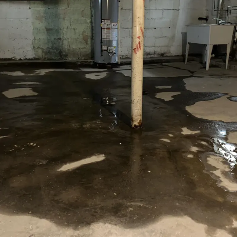 Emergency Water Extraction And Removal in Ewa Gentry, HI